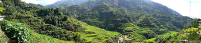 1000px-pana_banaue_rice_terraces_400